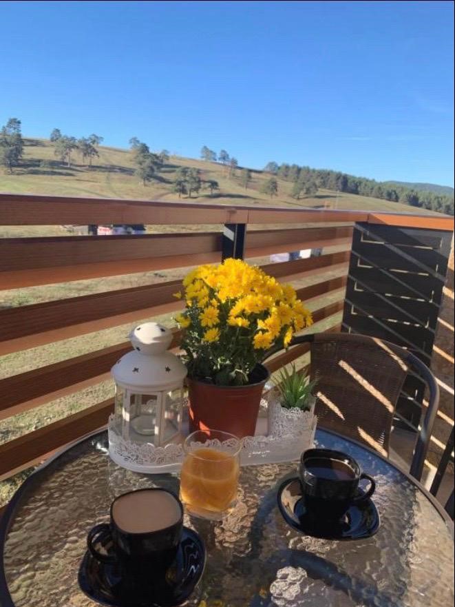 1-374-Na-prodaju-aparman-na-Zlatiboru-vršac-nekretnine-04