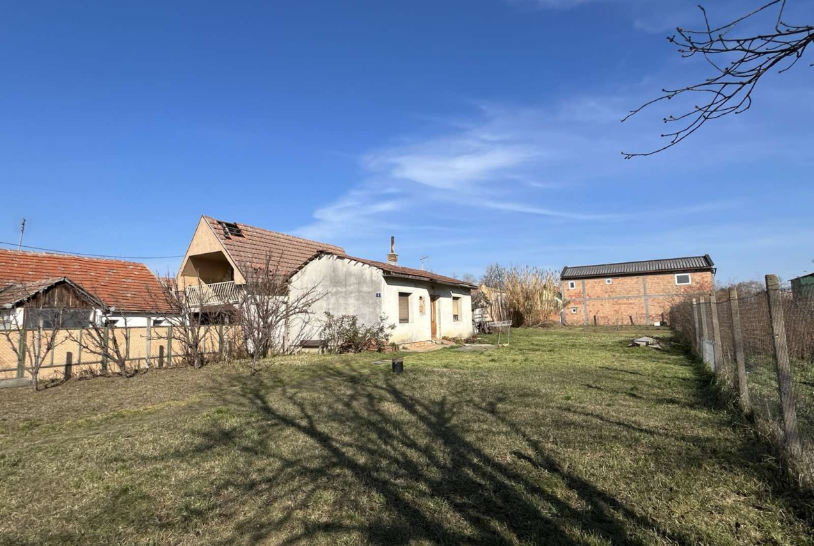 Novi Sad –  plac sa visokim razvojnim potencijalom
