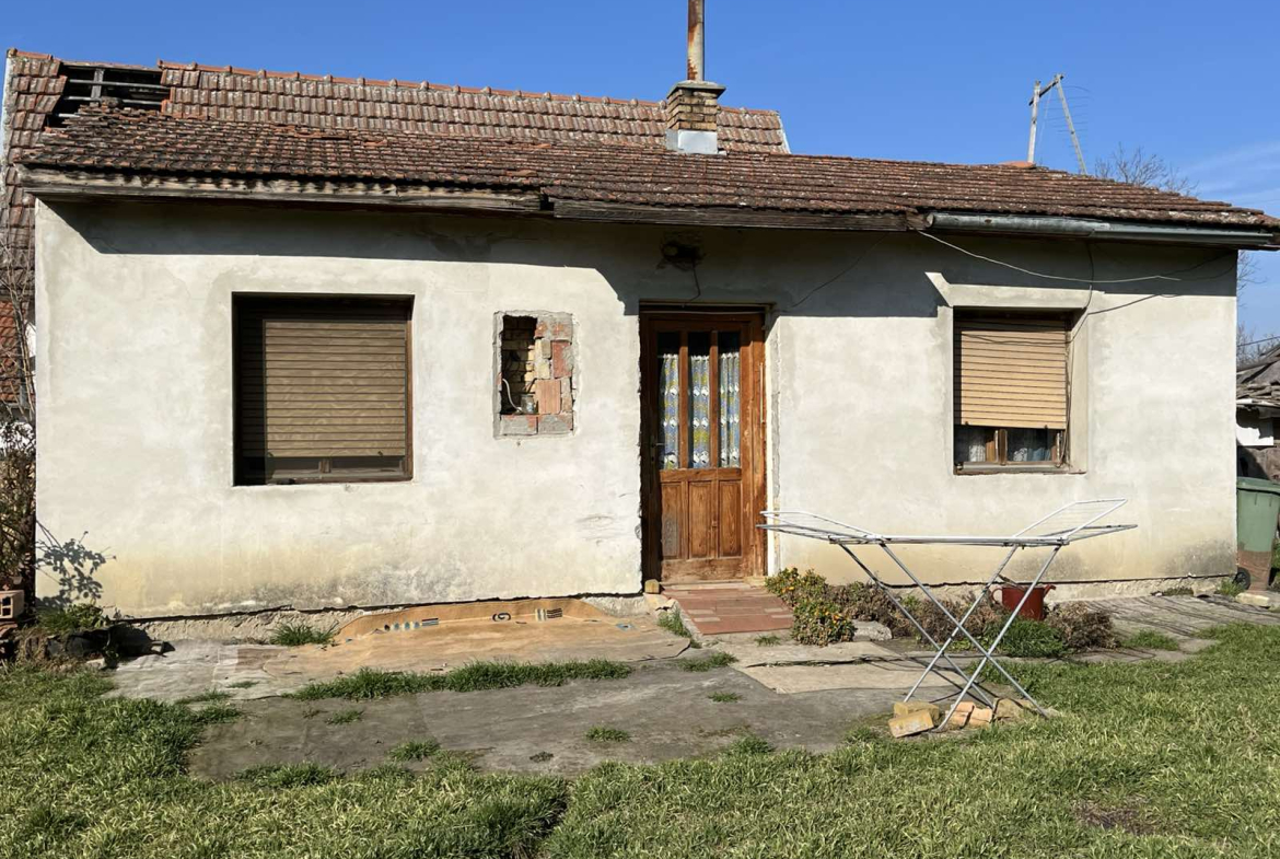 Novi Sad –  plac sa visokim razvojnim potencijalom